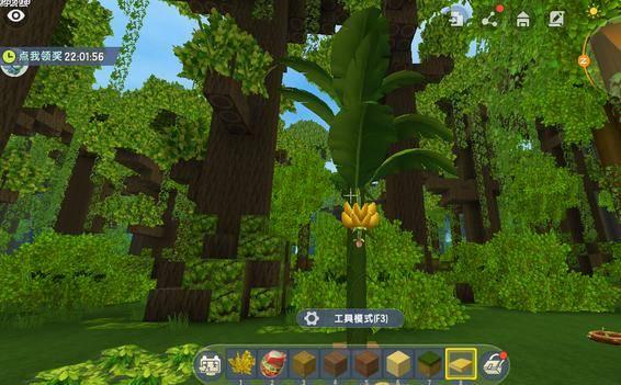 迷你小雨林爆料视频大全,揭秘神秘视频大全背后的奇幻世界 第3张 迷你小雨林爆料视频大全,揭秘神秘视频大全背后的奇幻世界 第3张